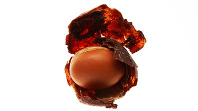 Artikel 2 Kerastase Bahan-bahan Terbaik di Bumi